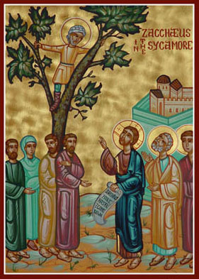 Zacchaeus in the sycamore.jpg